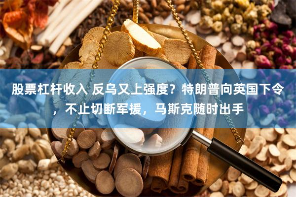 股票杠杆收入 反乌又上强度？特朗普向英国下令，不止切断军援，马斯克随时出手