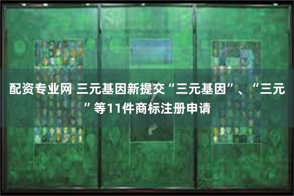 配资专业网 三元基因新提交“三元基因”、“三元”等11件商标注册申请