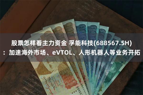股票怎样看主力资金 孚能科技(688567.SH)：加速海外市场、eVTOL、人形机器人等业务开拓