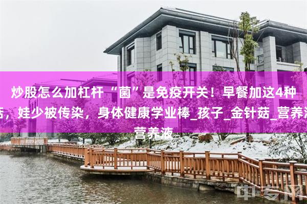炒股怎么加杠杆 “菌”是免疫开关！早餐加这4种菇，娃少被传染，身体健康学业棒_孩子_金针菇_营养液
