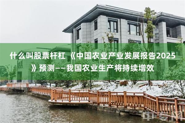 什么叫股票杆杠 《中国农业产业发展报告2025》预测——我国农业生产将持续增效