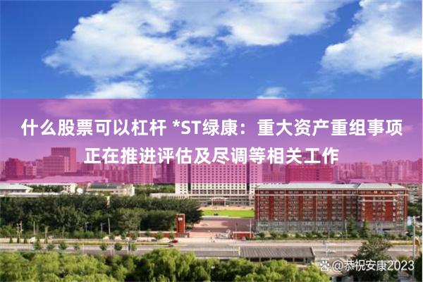 什么股票可以杠杆 *ST绿康：重大资产重组事项正在推进评估及尽调等相关工作
