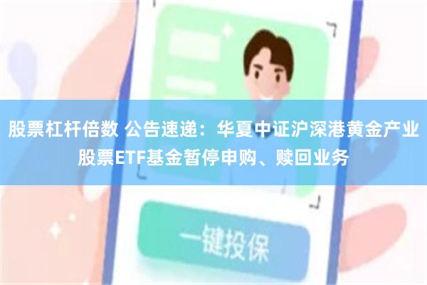股票杠杆倍数 公告速递：华夏中证沪深港黄金产业股票ETF基金暂停申购、赎回业务