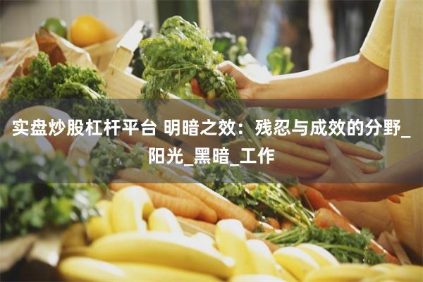 实盘炒股杠杆平台 明暗之效：残忍与成效的分野_阳光_黑暗_工作