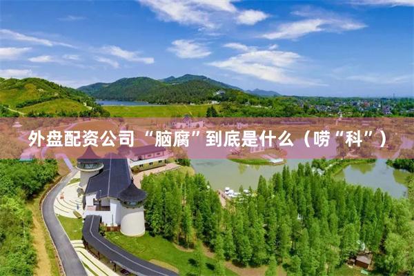 外盘配资公司 “脑腐”到底是什么（唠“科”）