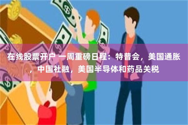 在线股票开户 一周重磅日程：特普会，美国通胀，中国社融，美国半导体和药品关税