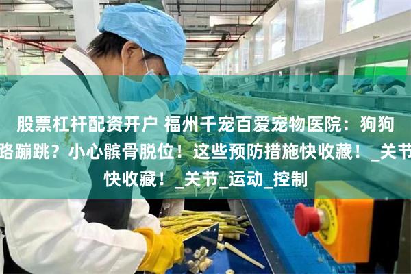 股票杠杆配资开户 福州千宠百爱宠物医院：狗狗总抬腿、走路蹦跳？小心髌骨脱位！这些预防措施快收藏！_关节_运动_控制