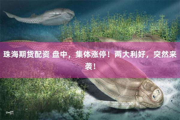 珠海期货配资 盘中，集体涨停！两大利好，突然来袭！