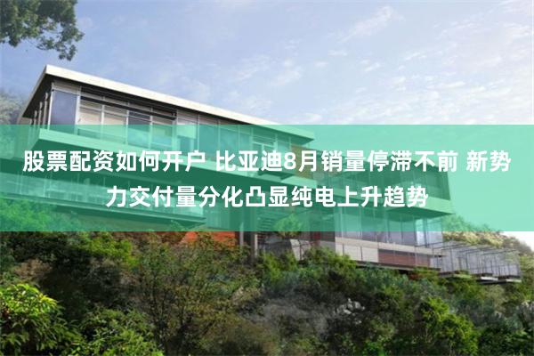 股票配资如何开户 比亚迪8月销量停滞不前 新势力交付量分化凸显纯电上升趋势