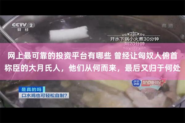 网上最可靠的投资平台有哪些 曾经让匈奴人俯首称臣的大月氏人，他们从何而来，最后又归于何处