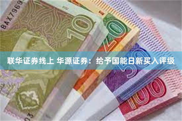 联华证券线上 华源证券：给予国能日新买入评级